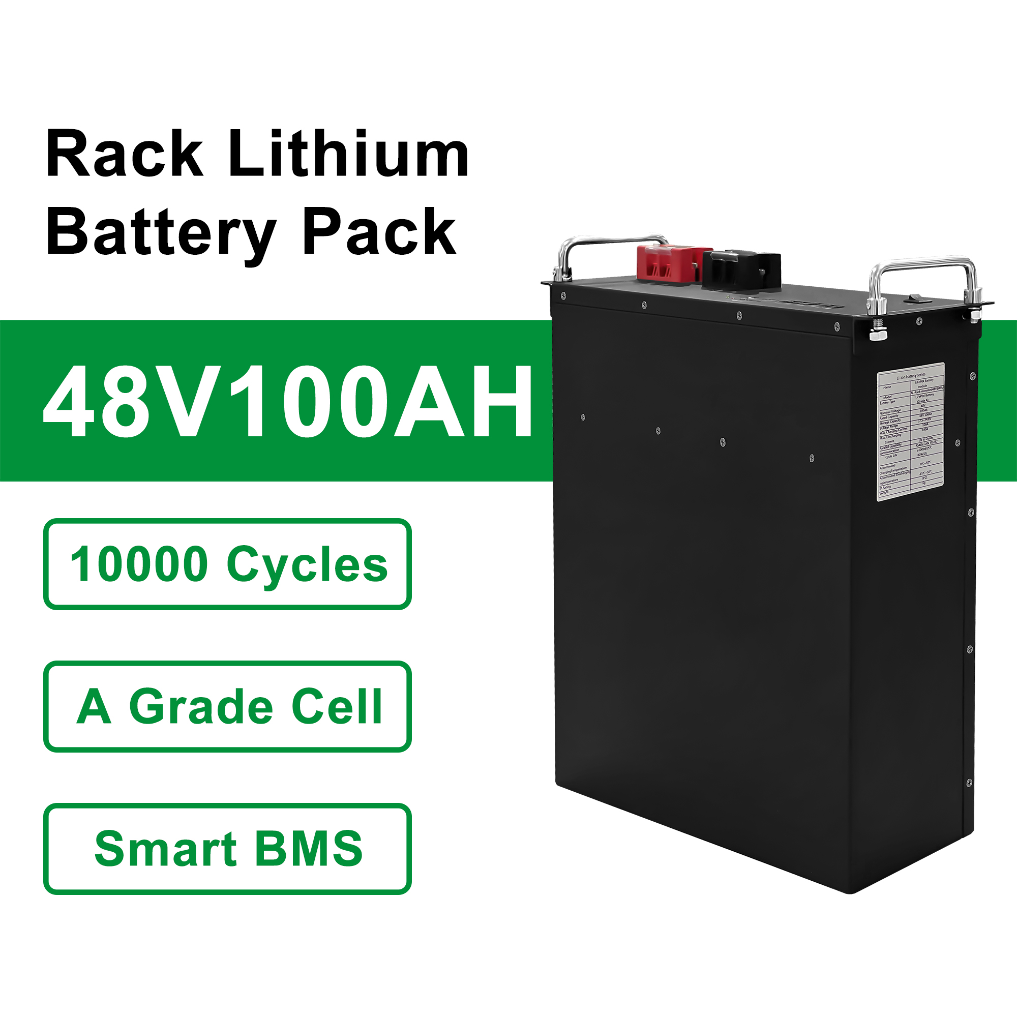 48V 100Ah Rack-Mounted LiFePO4 Battery Module - 6