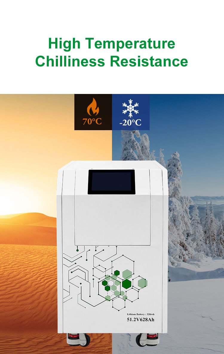 32kWh High-Capacity LiFePO4 Battery - 7